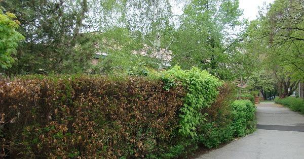 Iskolánk környéke