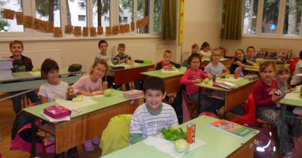 Zöldségnap (1.b)