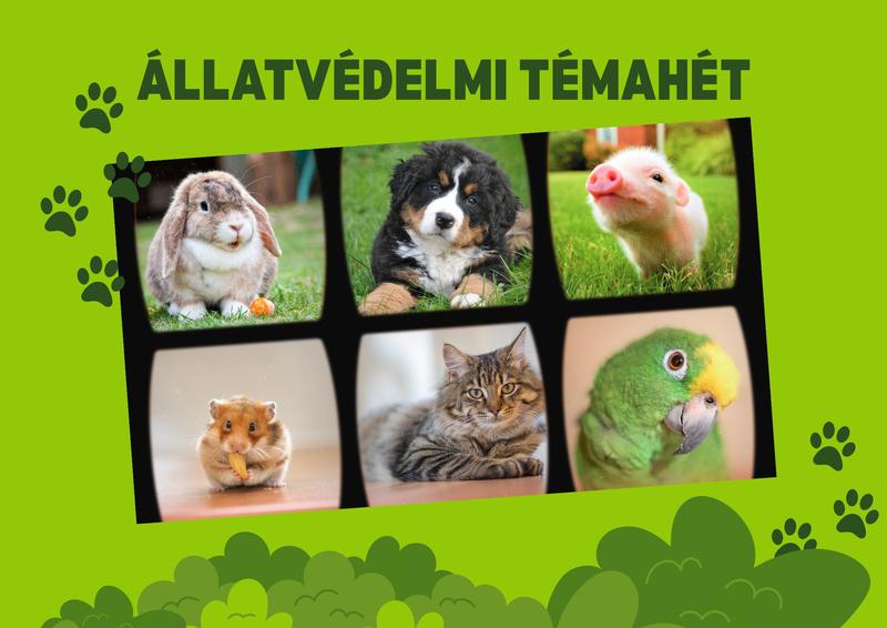 Állatvédelmi témahét