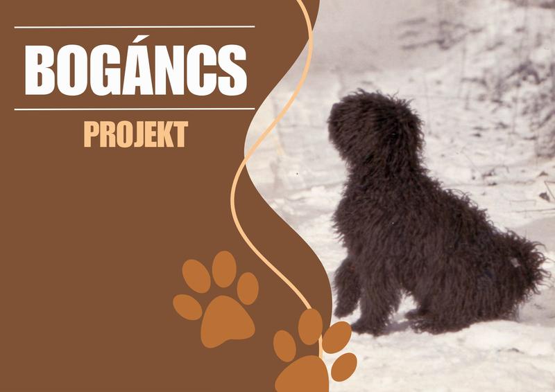 Bogáncs-projekt