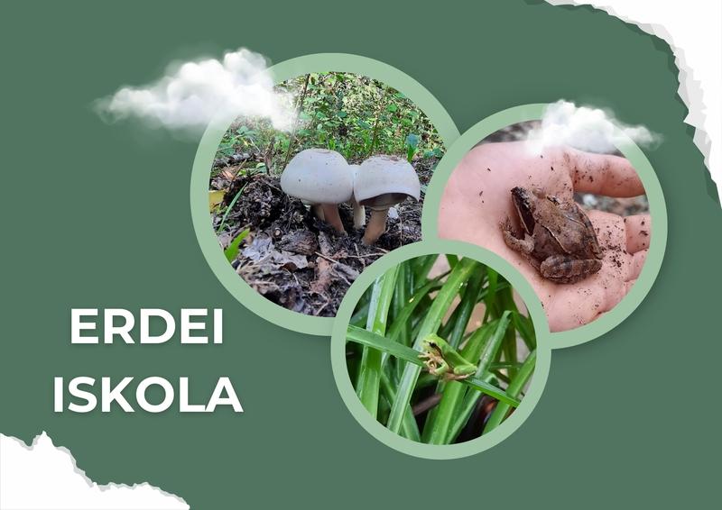 Erdei iskola 6.b